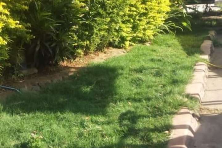 Property Grounds 42 of 51