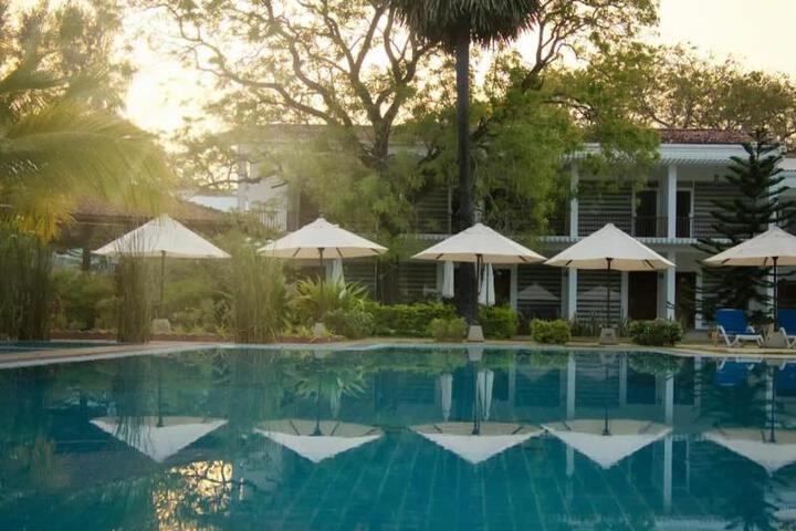 Spa and Wellness Pictures