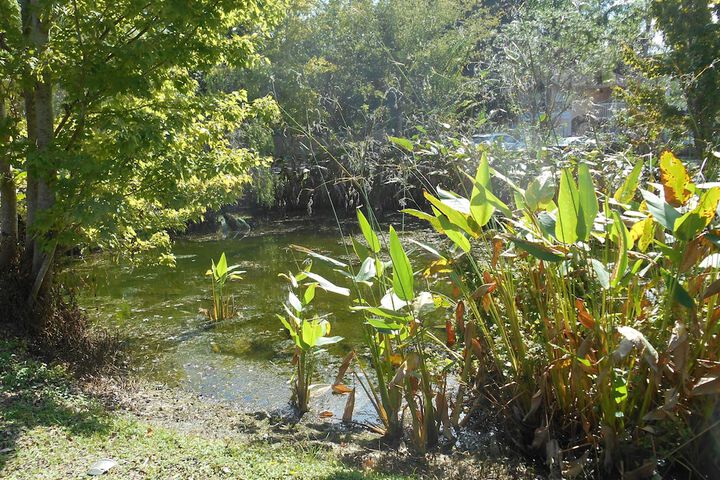 Property Grounds 47 of 49