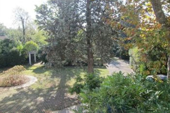 Property Grounds 42 of 45