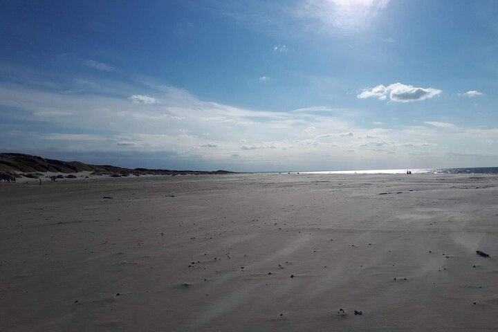 Beach 19 of 29