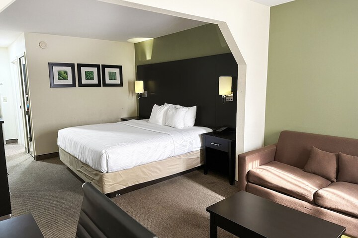 1 King Bed (19 of 34)