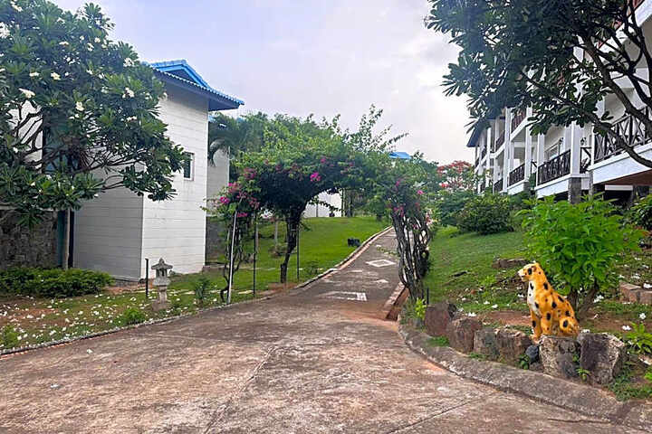 Photo 23