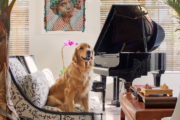 Pet-friendly