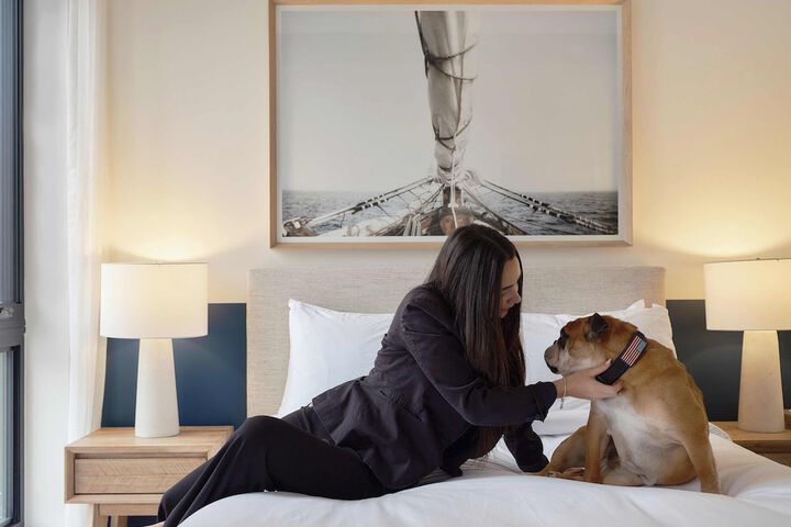 Pet Friendly 145 of 170