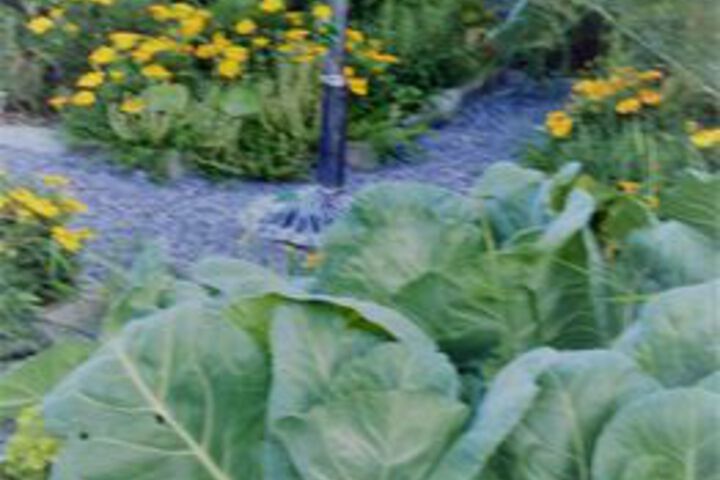 Property Grounds 69 of 77