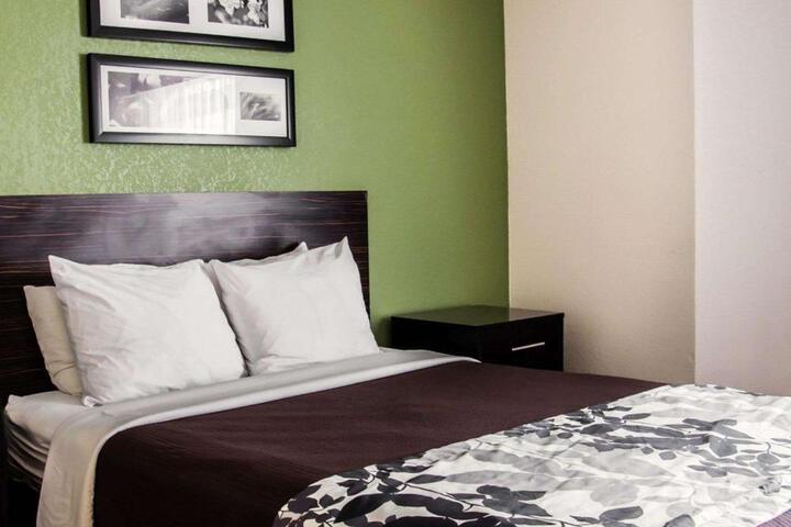 1 Queen Bed Accessible (8 of 9)
