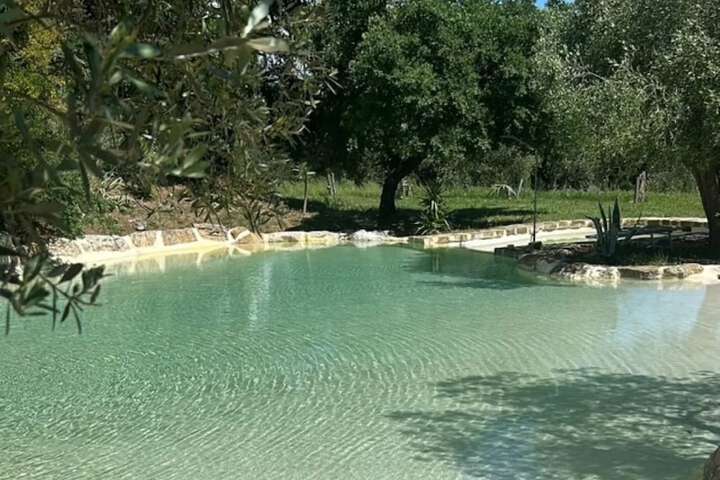 Pool 38 of 80