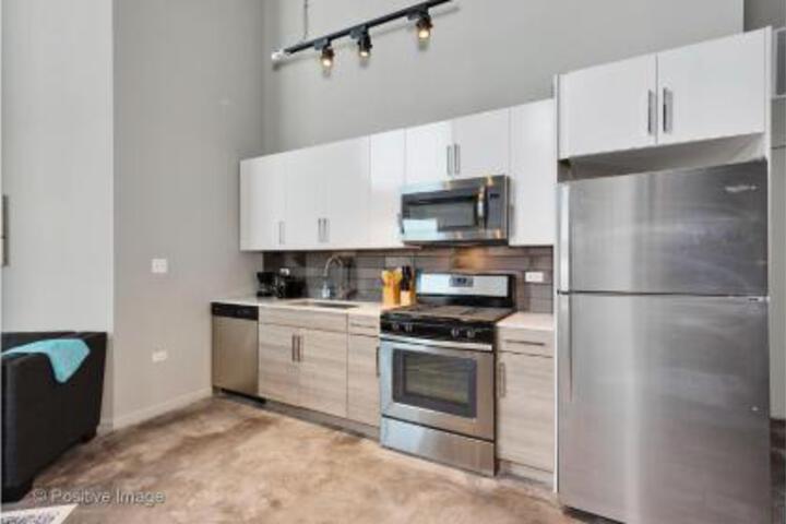 New Stylish 3br Loft in Wicker Park in Chicago, IL