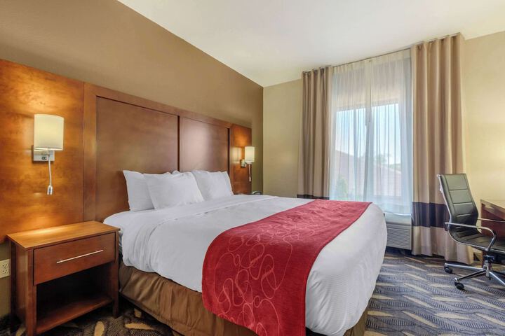 Suite King Bed Accessible (8 of 25)
