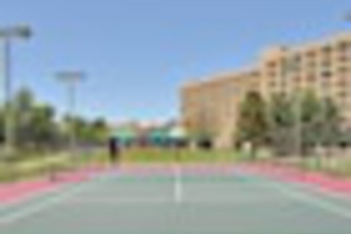 Tennis court