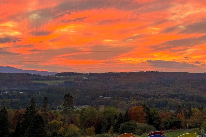 Hotel View 302 of 311