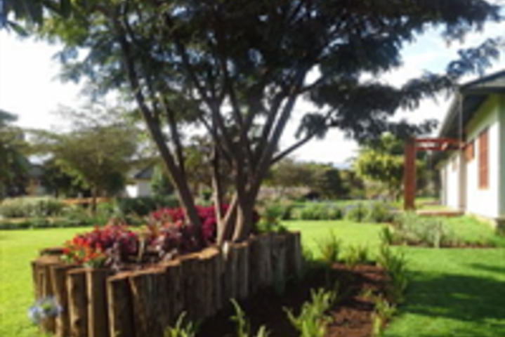 Spa and Wellness Pictures