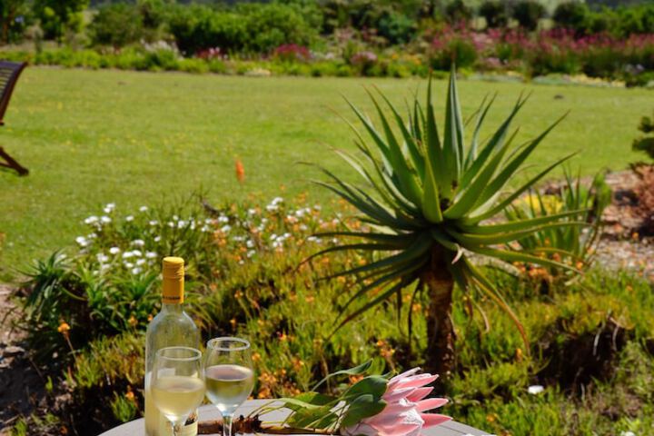 Terrace/Patio 8 of 19