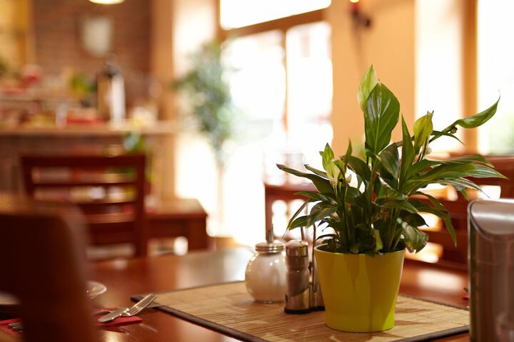 Restaurants