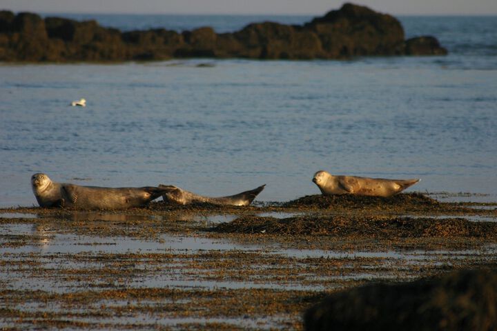 Beach 138 of 167