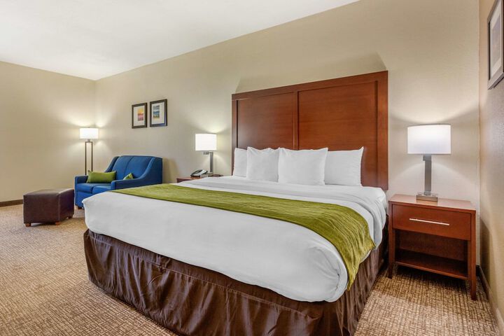 1 King Bed Accessible (10 of 13)