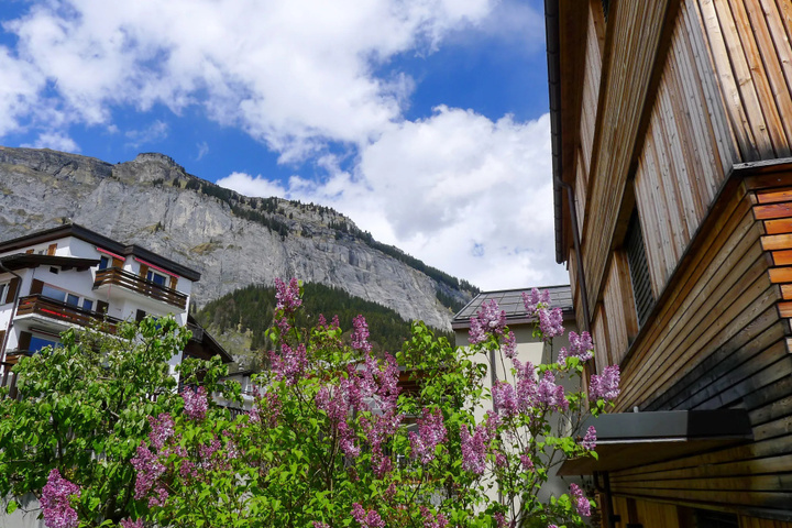 Bergidyll Flims in Flims