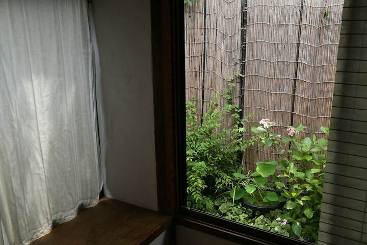 View from room