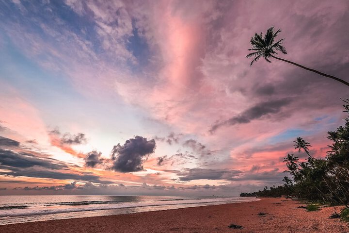 Beach 191 of 221