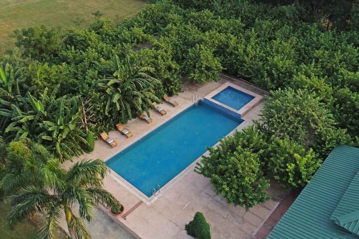 Pool 20 of 35