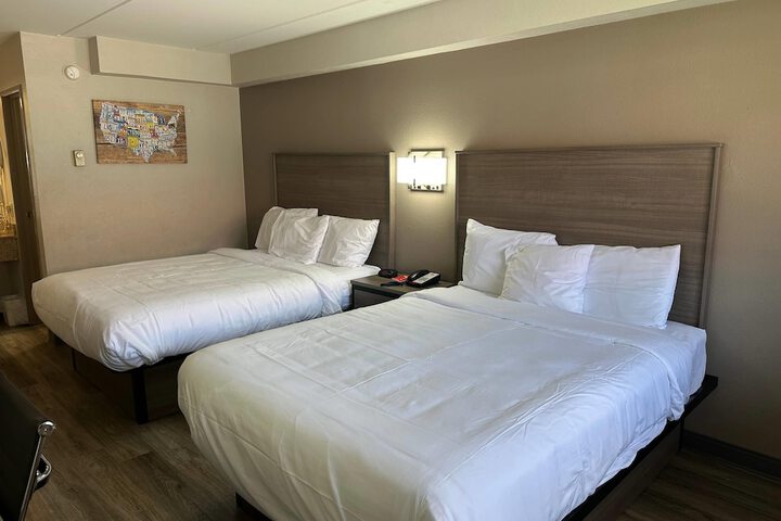 Room 3 of 11