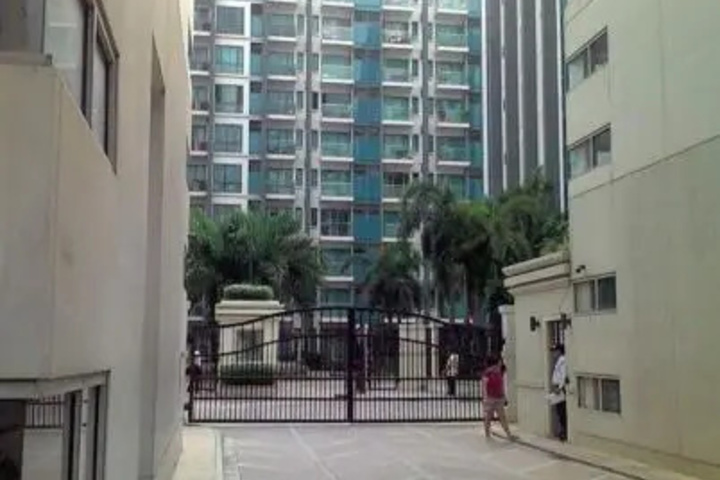 Palm 1 9c