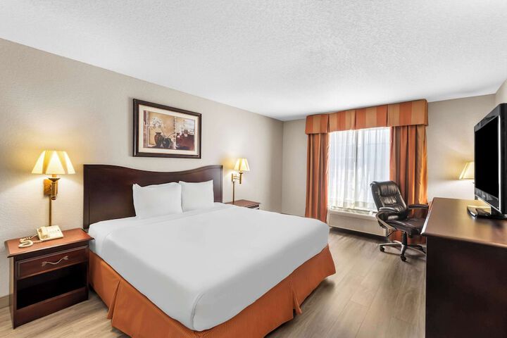 1 King Bed (16 of 32)