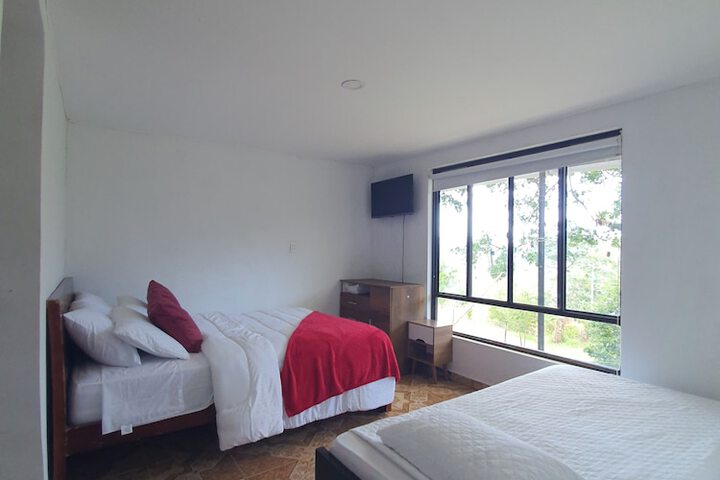 Room 4 of 22
