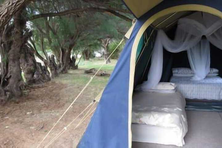 Room 2 of 33