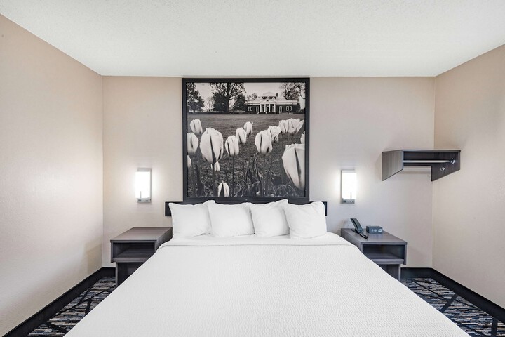 1 King Bed (3 of 12)