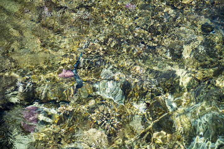 Beach 142 of 168