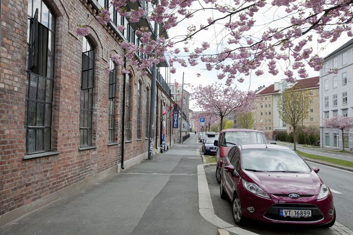 Hotel Exterior