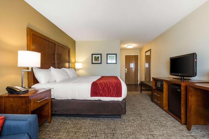 1 King Bed Accessible (8 of 27)