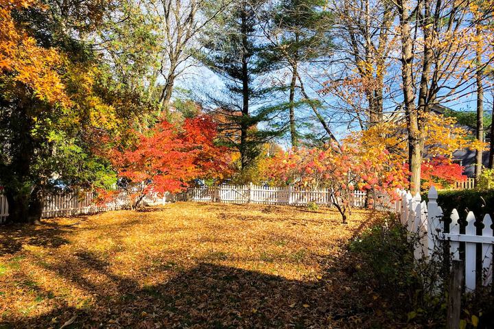 Property Grounds 66 of 81