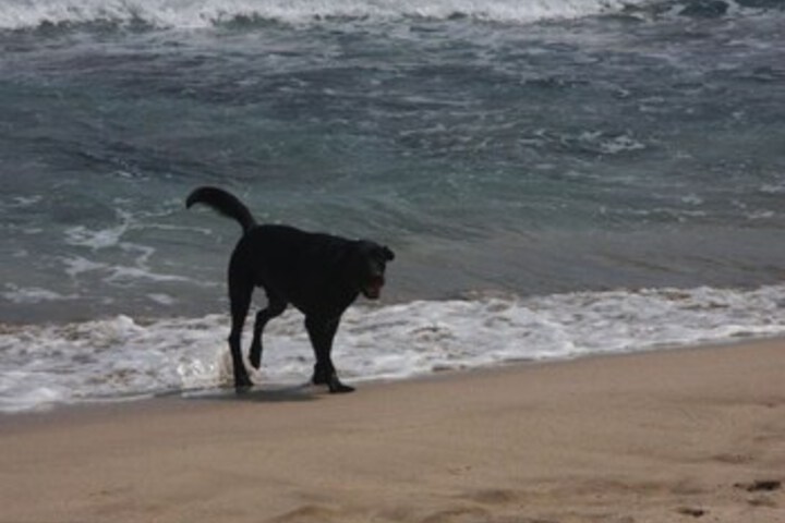 Beach 20 of 47