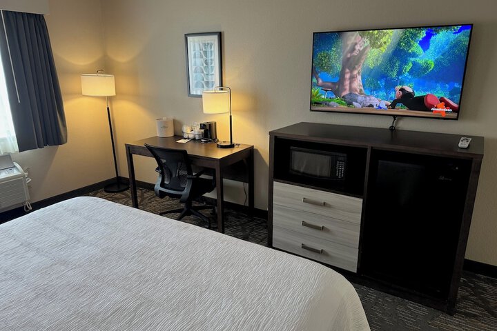 1 King Bed Mobility Accessible Bathtub with Grab Bars (8 of 22)