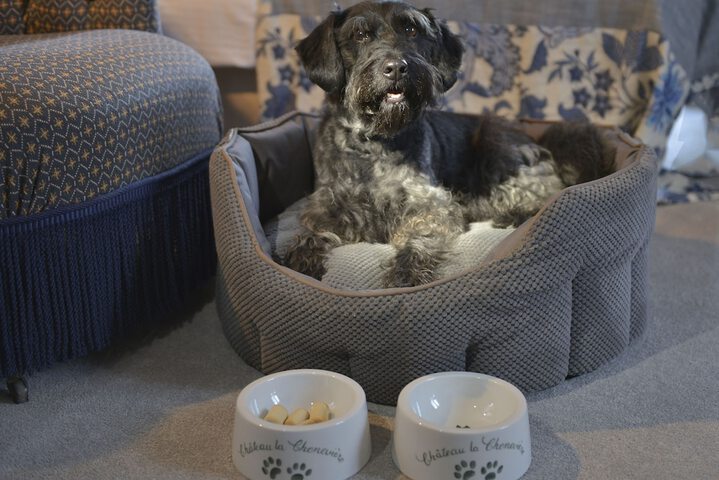 Pet Friendly 34 of 64