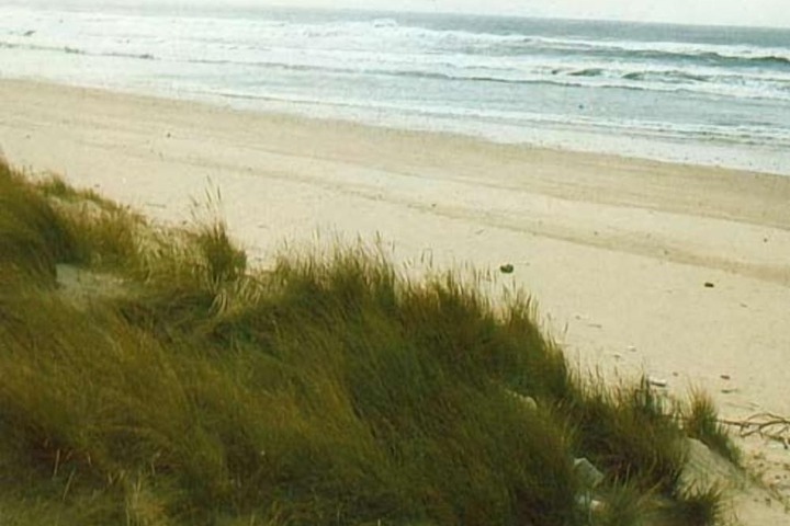 Beach 48 of 55