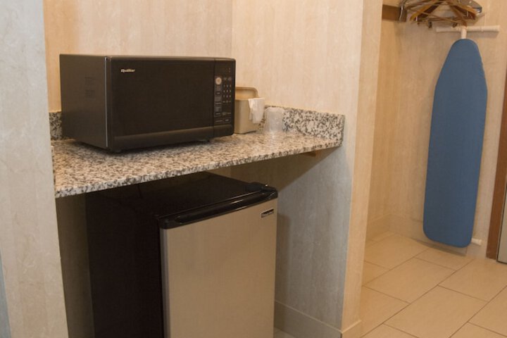 Mini-refrigerator