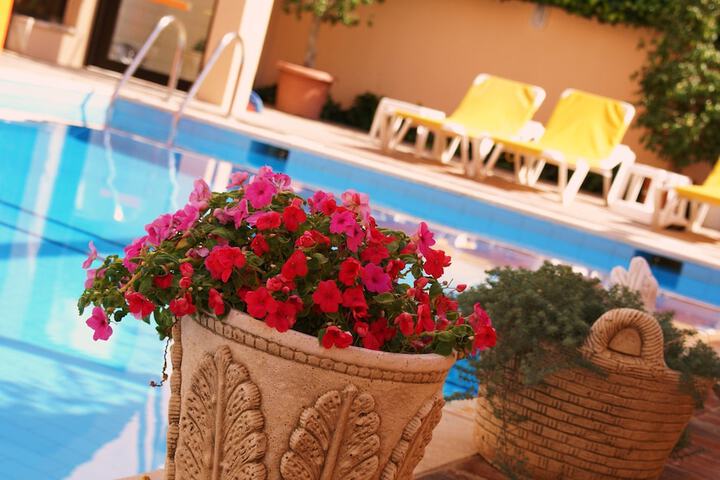 Pool Hotel