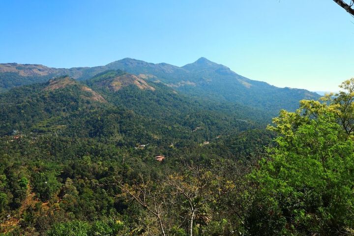 FOGGY DREAMZ MUNNAR