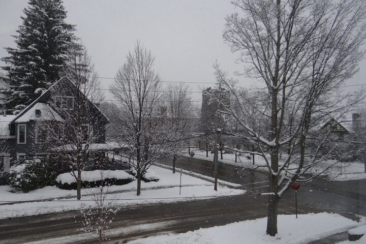 View from room