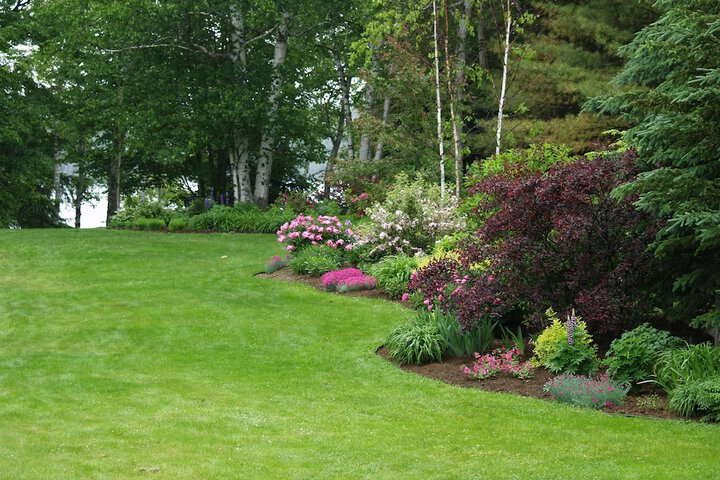 Property Grounds 40 of 54
