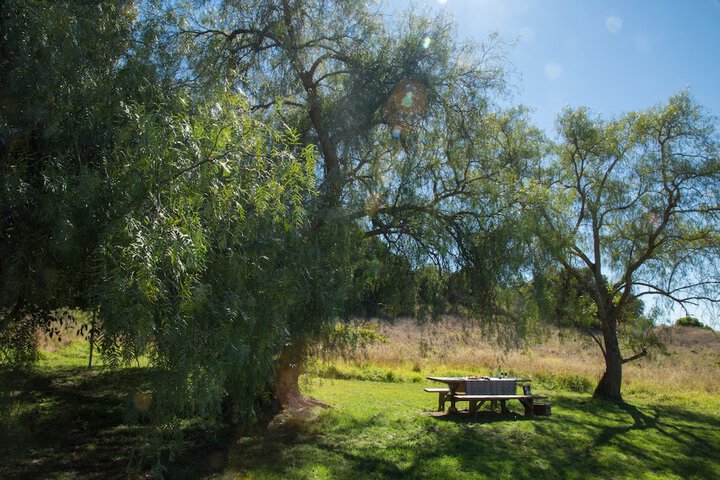 BBQ/picnic area