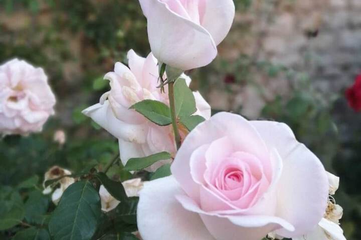 Hotel Exterior 82 of 97