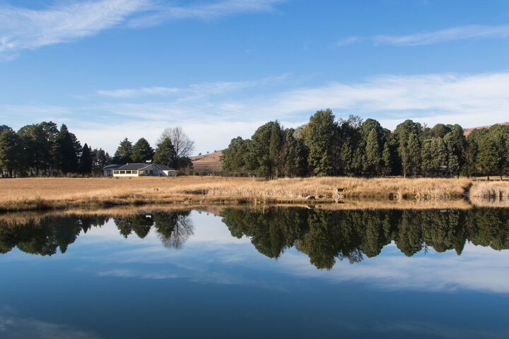 Property Grounds 74 of 92