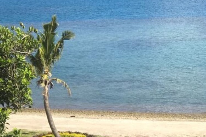Beach 50 of 63