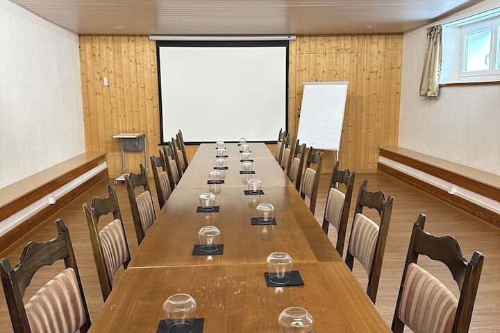 Meeting 77 of 95