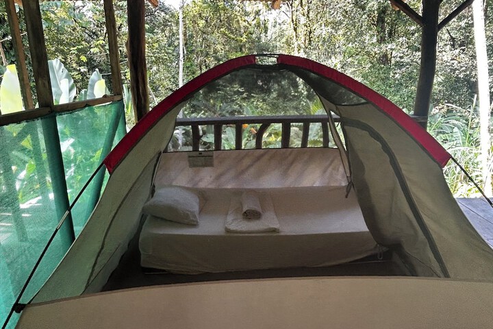 Room 2 of 19